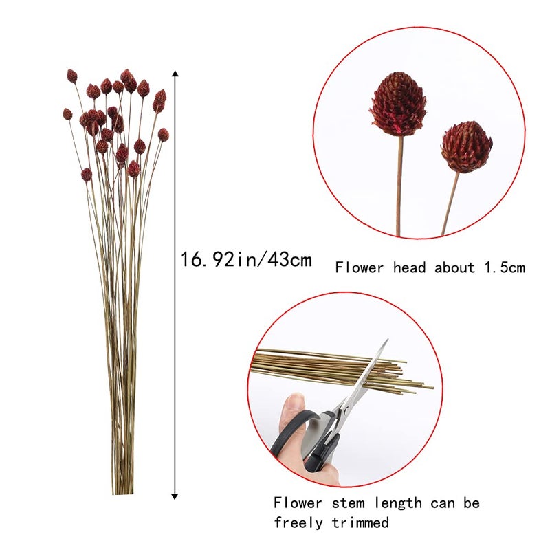 MHMJON 30 Pcs Dried Flowers Bouquet Bulk Mini Billy Ball Flowers Pine Cone Flowers Natural Dried Flowers for Vase Handmade Fake Flowers for Home Indoor Kitchen Office DIY Wedding Table Decor (16.9") - Image 2